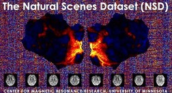 Natural Scenes Dataset