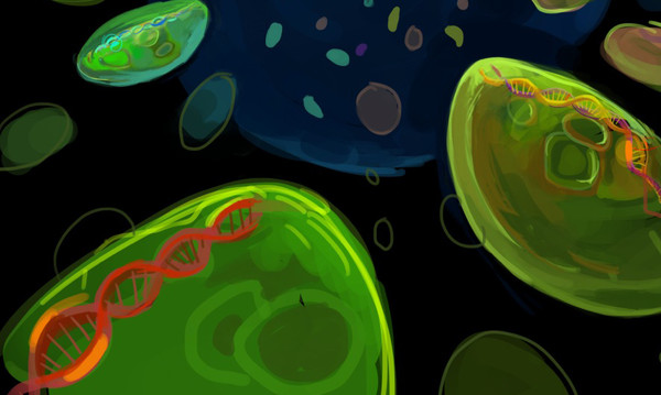 Artist's interpretation showing diversity of Prochlorococcus microbes