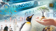 funding graphic with penguin
