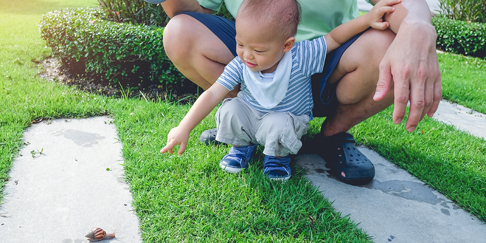 A toddler squatting down and pointing at a snail.
