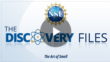 The title slide for the Discovery Files episode titled "The Art of Smell."