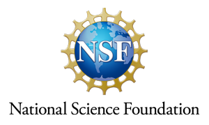 NSF logo stacked