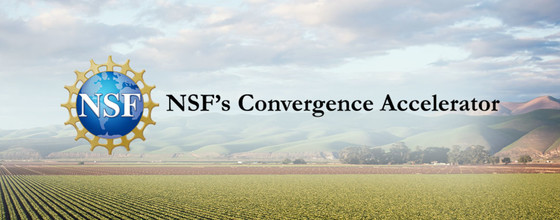NSF Convergence Accelerator Track J award announcement graphic 