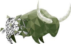 bull