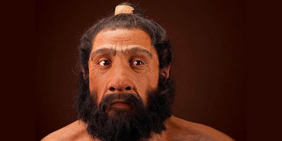 Reconstruction of what a neanderthal might have looked like. Credit NMNH