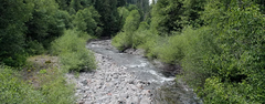  Lookout Creek in Oregon's H.J. Andrews Experimental Forest, site of the landslide research. Credit: Theresa Hogue, OSU