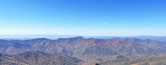 On the highest peaks in North Carolina, a spruce-fir boreal forest stands as a relic of the Pleistocene. Credit: Jess Hunt-Ralston