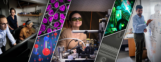 A collage of images showing research activities, people and labs at several NSF Physics Frontiers Centers. 