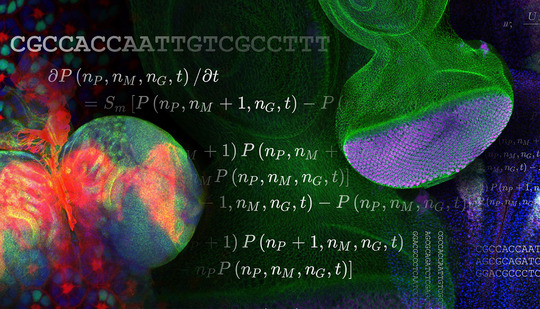 A collage of microscopic images of biological samples and equations