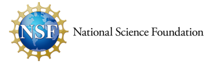 NSF logo horizontal white background