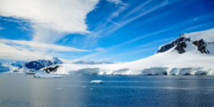 Antarctic scene