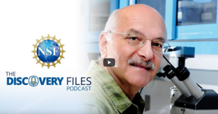 Discovery Files Podcast - Coby Schal on Insect Scents