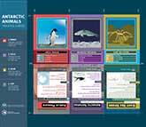 Antarctic animal trading cards