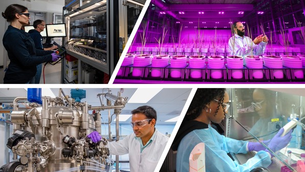 A collage of researchers conducting work to advance the U.S. bioeconomy.