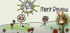 NSF Merit Review Video