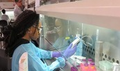 NSF-NIH biomedical engineering internship opportunity. 