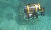 AI-powered underwater robots. 