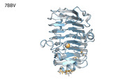 Protein prediction