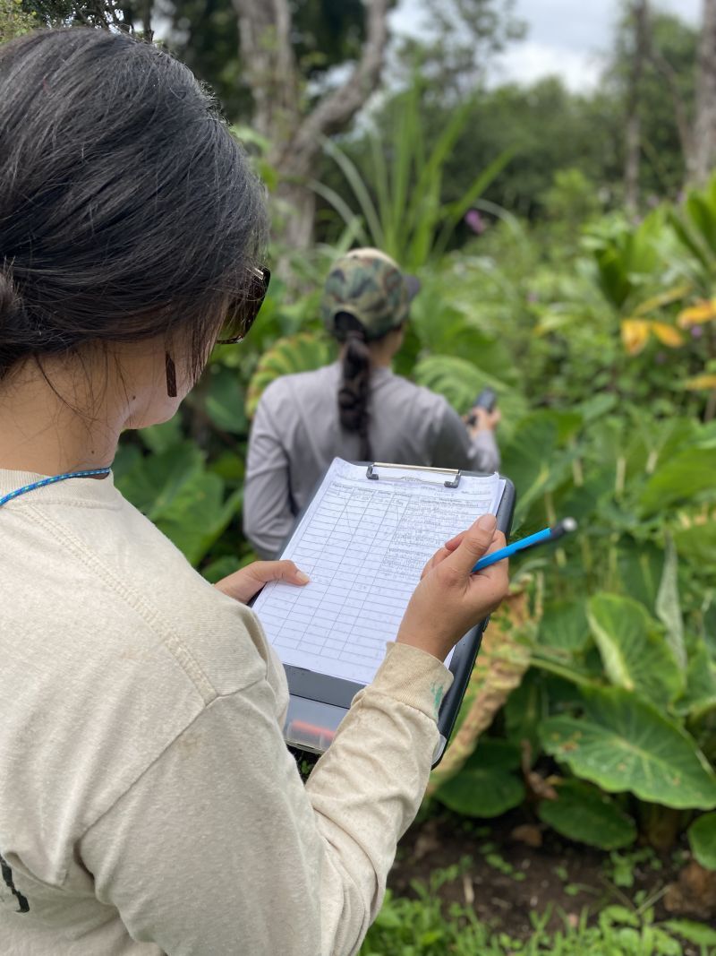 Huliauapa’a Interns learning ʻāina field methods Credit: Kelley Uyeoka