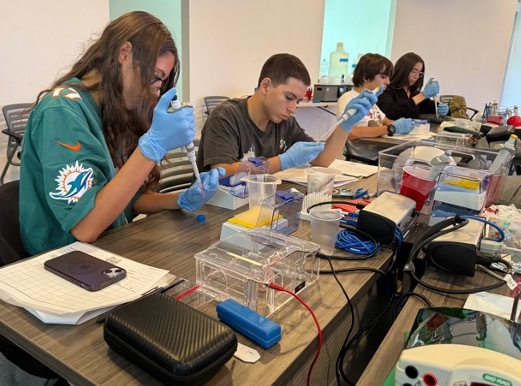 students exploring DNA sequencing