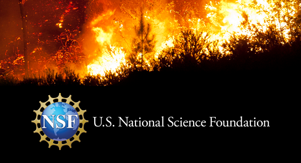 NSF FIRE Program