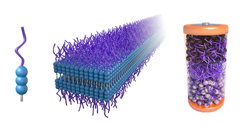 A rendering of a molecule that can self assemble into nanoribbons and be used for a battery electrolyte.