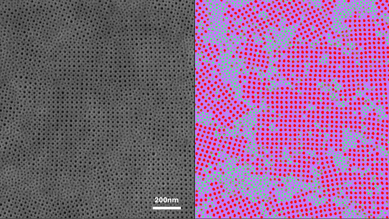 Scanning electron microscopy image