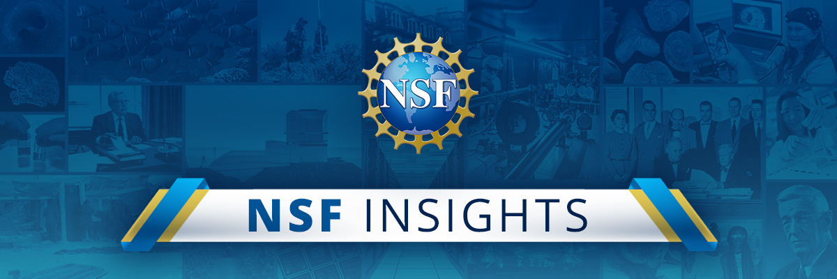 NSF Insights Newsletter Banner