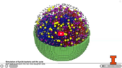 Full life cycle 4D simulation of minimal bacterial cell