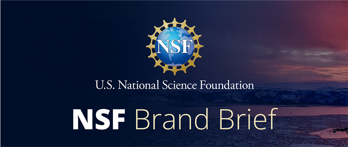 NSF Brand Brief Header