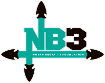 NB3 logo
