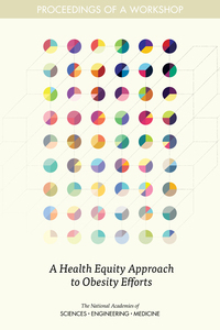 Cover for A Health Equity Approach to Obesity Efforts