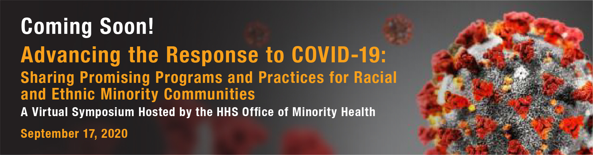 Advancing the Response to COVID-19 Banner