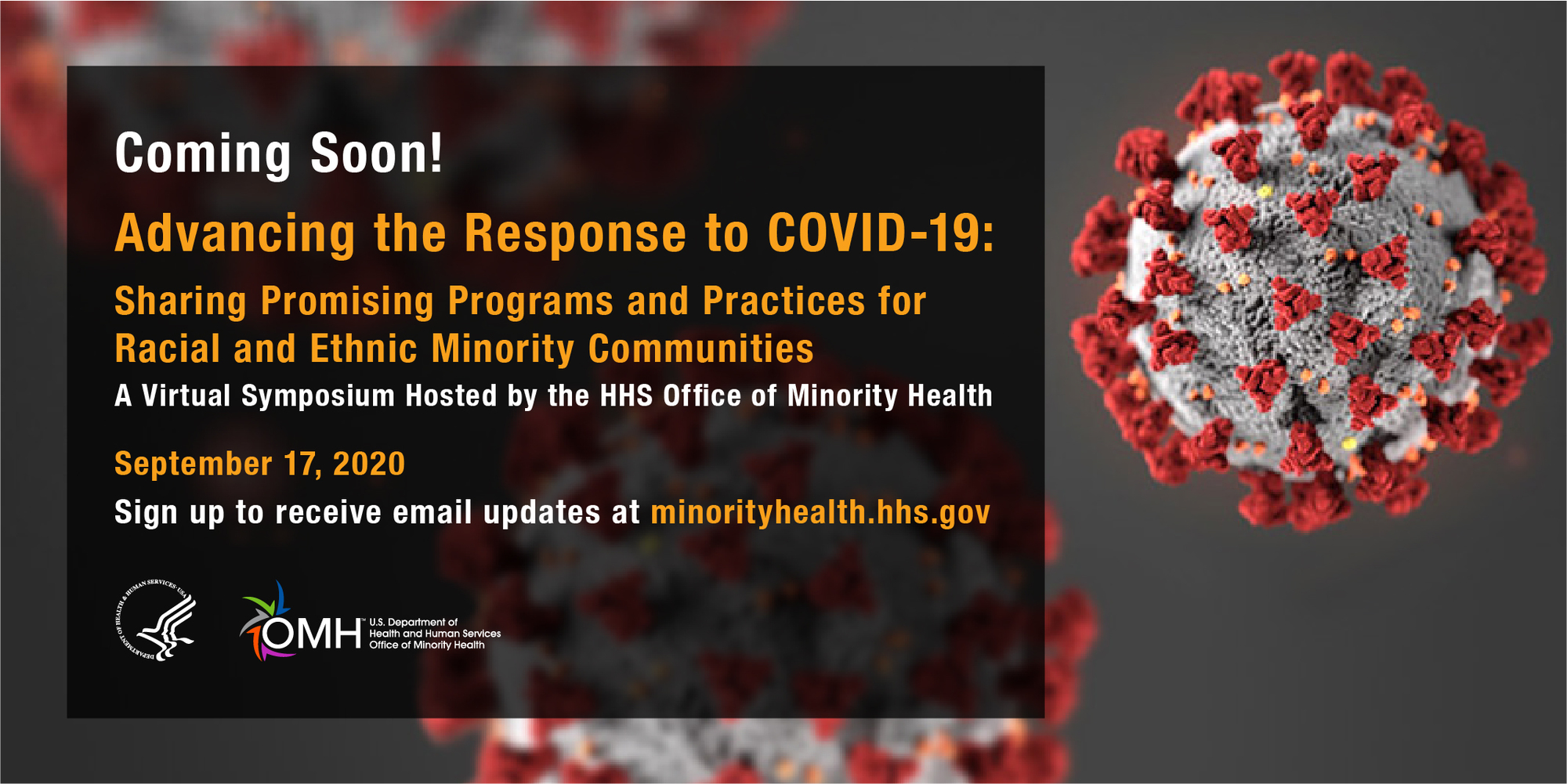 Advancing the Response to COVID-19 Graphic