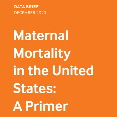 Cover detail for Maternal Mortality in the United States: A Primer