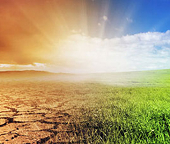 Image shows a dry, wilted field versus a healthy, green one