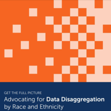 Cover detail for "Get the Full Picture: Advocating for Data Disaggregation by Race and Ethnicity"