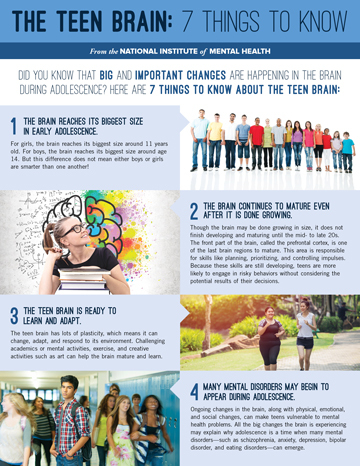 Image shows a fact sheet titled The Teen Brain Seven Things to Know