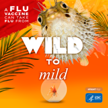 Wild to Mild Flu Vaccine Campaign