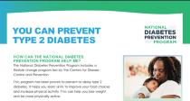 National Diabetes Prevention Program 