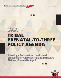 Tribal Prenatal-to-Three Policy Agenda