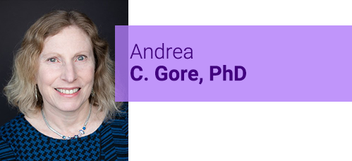 Andrea C. Gore, PhD