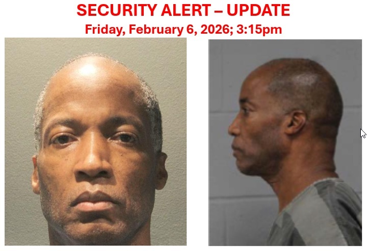 Bolo