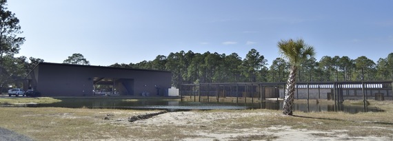 View of the hospital and aquatic flight enclosures