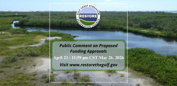 Public Comment