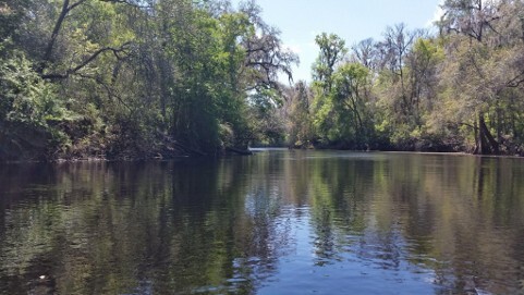 Gulf Coastal River