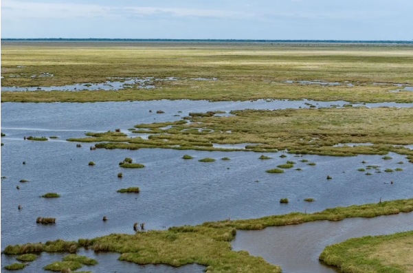 The Justin Hurst Wildlife Management Area