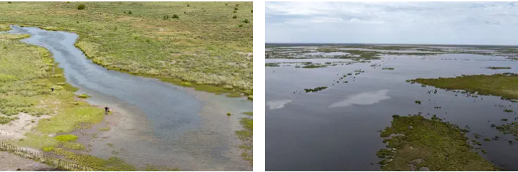 Aerial view Justin Hurst Wildlife Manaegment Area