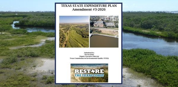 TX SEP Amendment #3 Cover