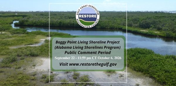 Boggy Point Living Shoreline Project (Alabama Living Shorelines Program)